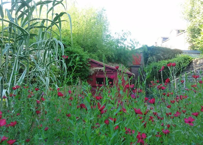 Bed & Breakfast Le Prieure Saint-leonard *