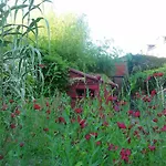 Bed & Breakfast Le Prieure Saint-leonard *